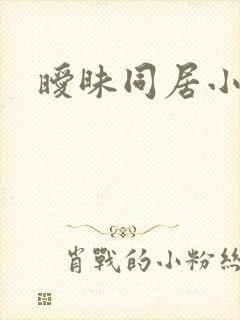 暧昧同居小说