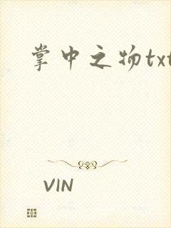掌中之物txt