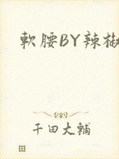 软腰BY辣椒椒封面