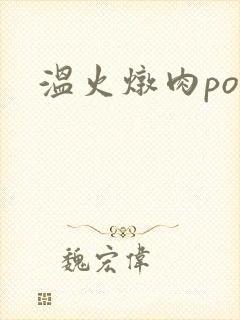 温火炖肉pop封面