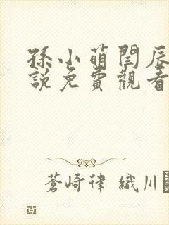 孙小萌闫辰的小说免费观看封面