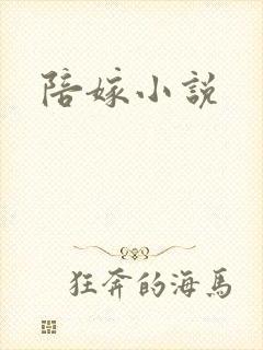 陪嫁小说