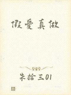 假爱真做封面