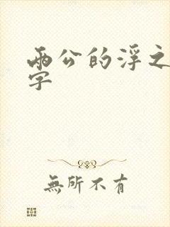 两公的浮之手中字封面