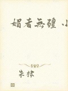 媚者无疆 小说封面