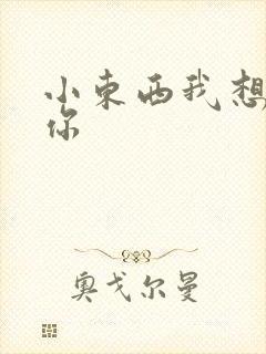 小东西我想弄坏你