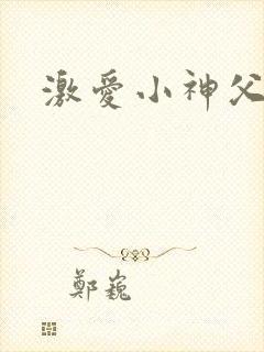 激爱小神父封面