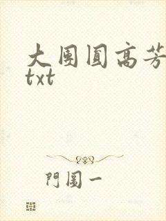大团圆高芳小说txt