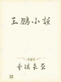 王鹏小说