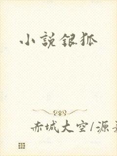 小说银狐