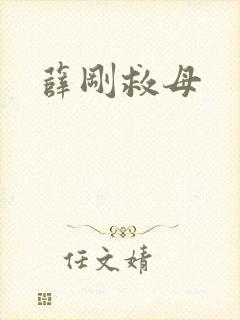 薛刚救母封面
