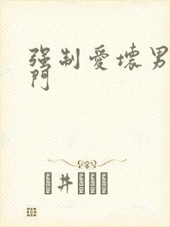 强制爱坏男送上门封面