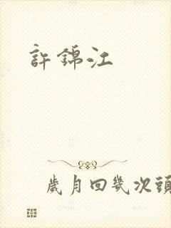 许锦江封面