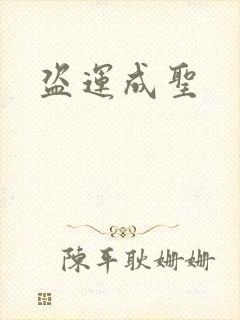 盗运成圣封面