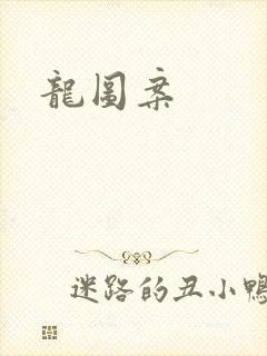 龙图案