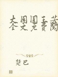 大团圆王芳高敏全文免费阅读封面