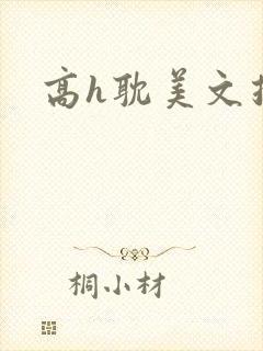 高h耽美文推荐