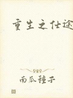 重生之仕途风流
