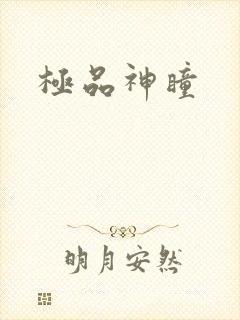 极品神瞳封面