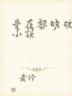 爱在黎明破晓前小说