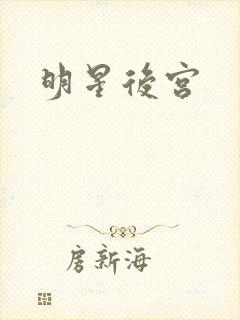 明星后宫封面