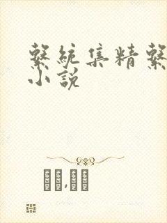 系统集精系统 小说