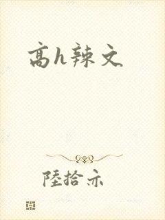 高h辣文
