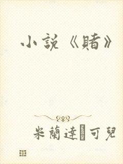 小说《赌》