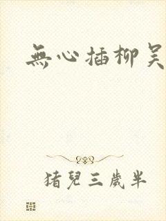 无心插柳吴悠封面