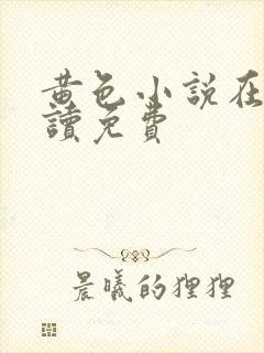 黄色小说在线阅读免费