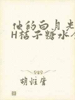 他的白月光HVH桔子糖水全文封面