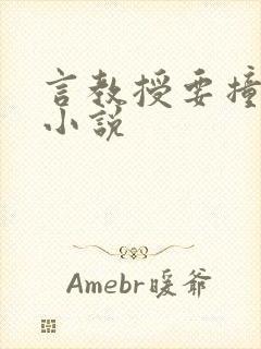 言教授要撞坏了小说