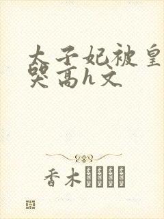 太子妃被皇上c哭高h文