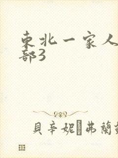 东北一家人第一部3封面