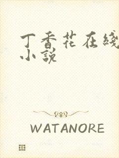 丁香花在线电影小说