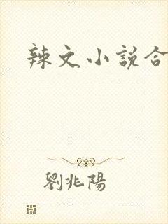 辣文小说合集