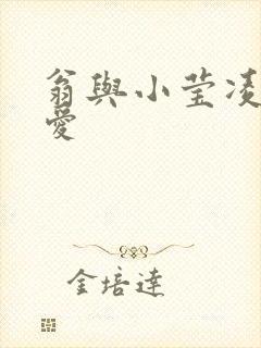 翁与小莹凌晨欢爱封面