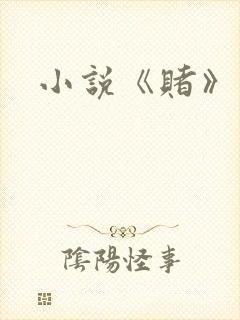 小说《赌》