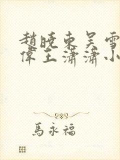 赵晓东吴雪晴郑伟王潇潇小说名字