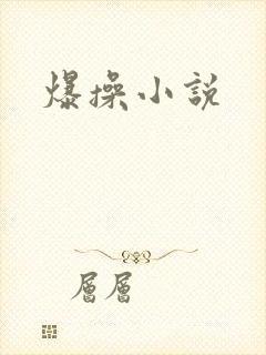 爆操小说