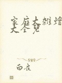 家庭大杂烩小说大全儿