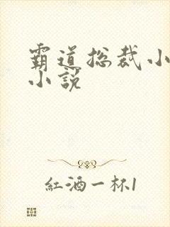 霸道总裁小娇妻小说