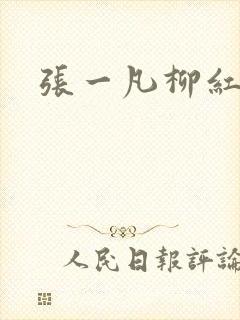 张一凡柳红