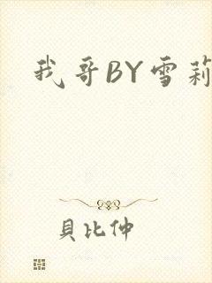 我哥BY雪莉封面