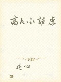 高h小说虐封面