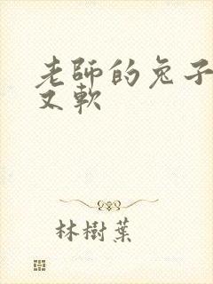 老师的兔子又大又软