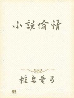 小说偷情封面