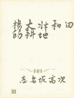 杨大壮和田桂花的耕地