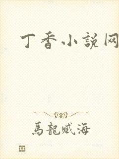 丁香小说网