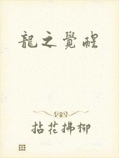 龙之觉醒封面
